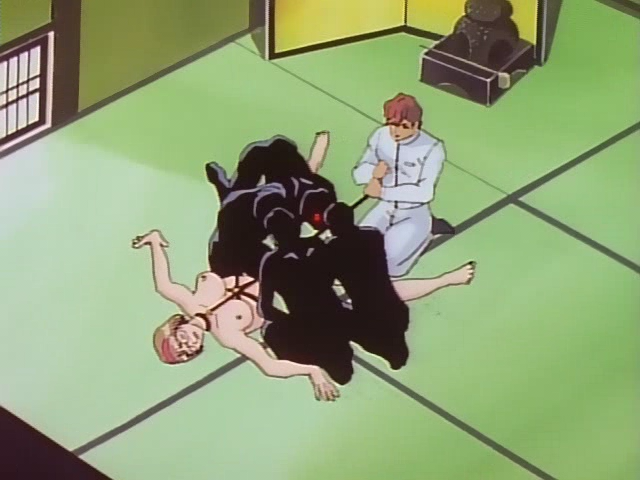 Dream Hazard (Hispanime-Team)